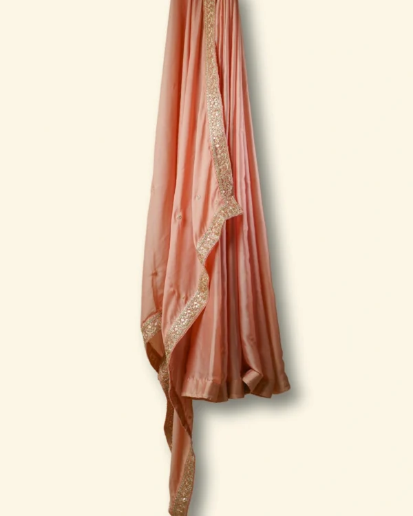 Peach Glow Silk Organza Gold Zari Lace border Saree - Image 3